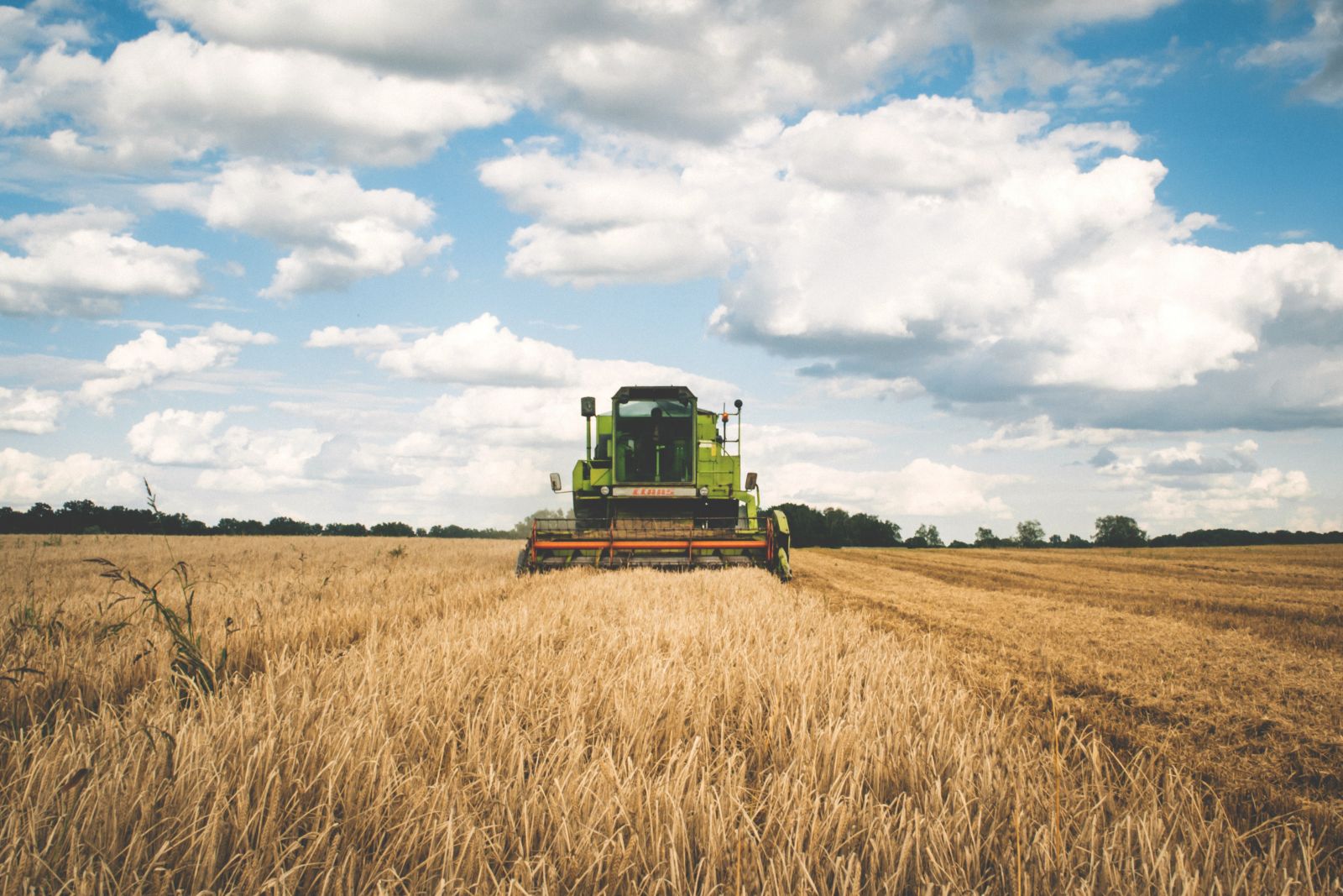 Tractor in field, agricultural plant machinery